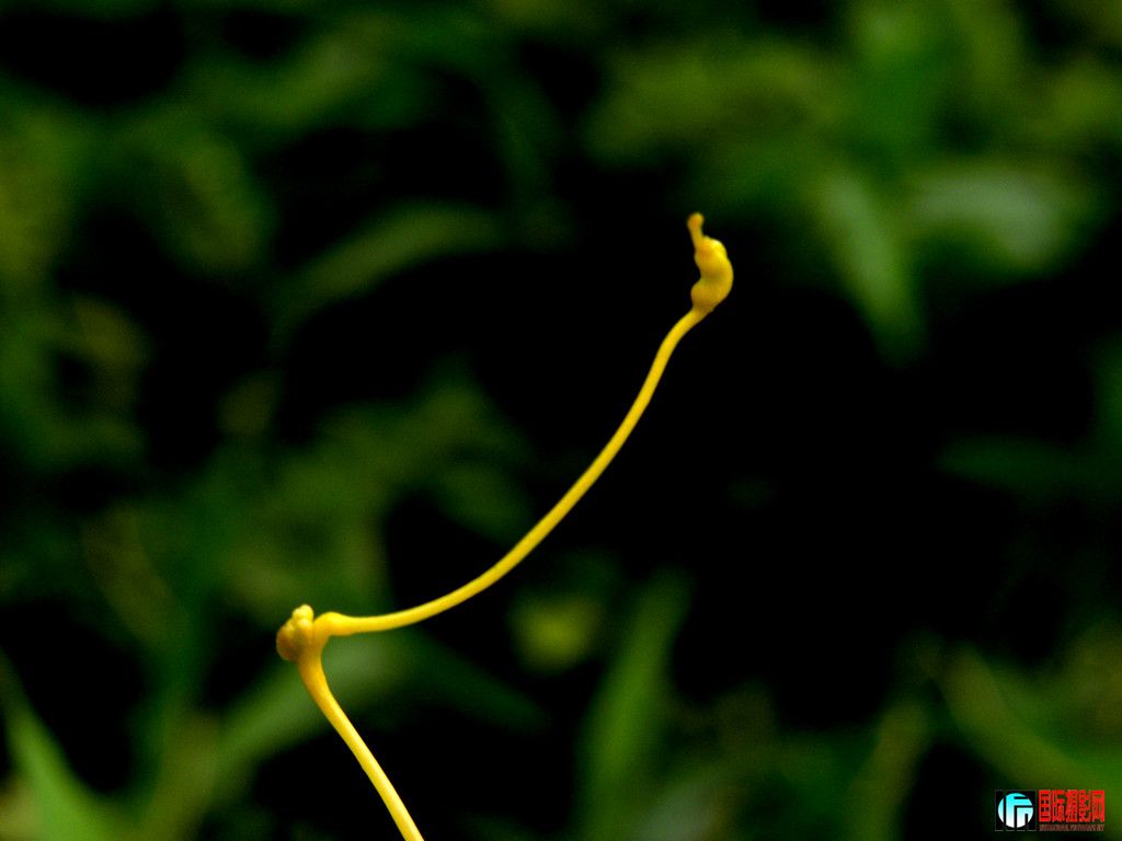 DSCN9784_.jpg