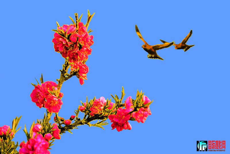 һ1.jpg