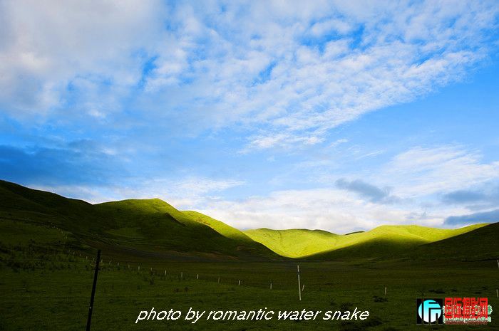 6_71842_041587e6b058e20.jpg
