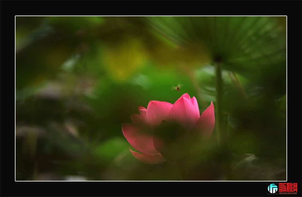 DSC_2099.JPG