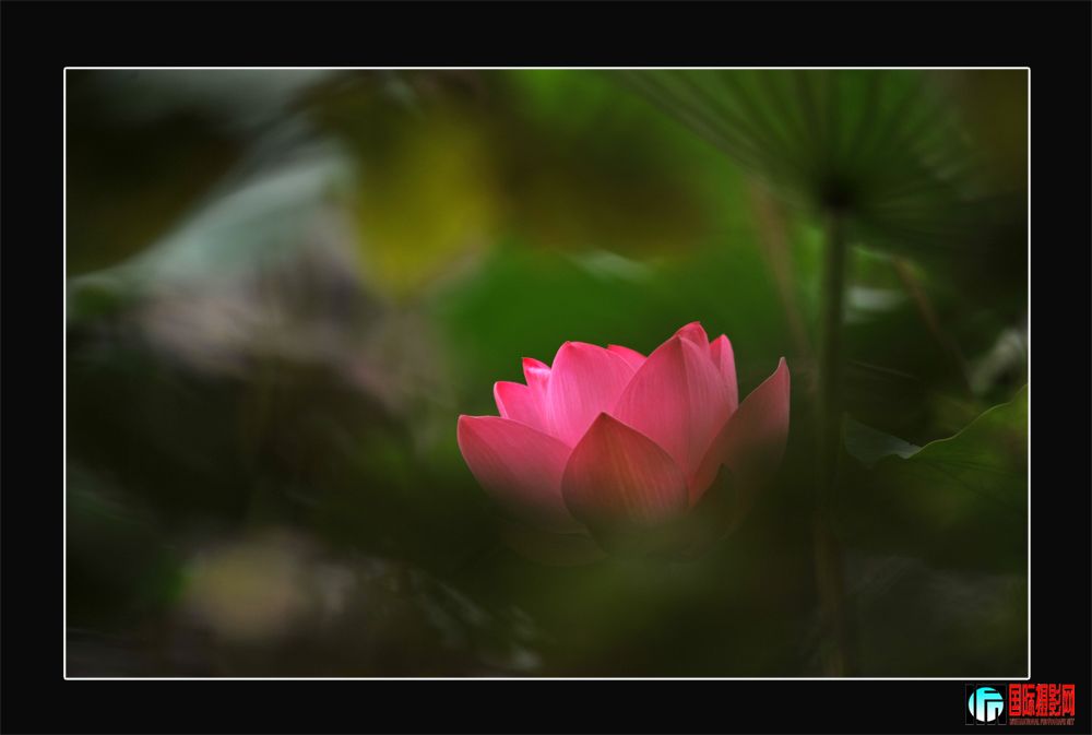 DSC_2100.JPG