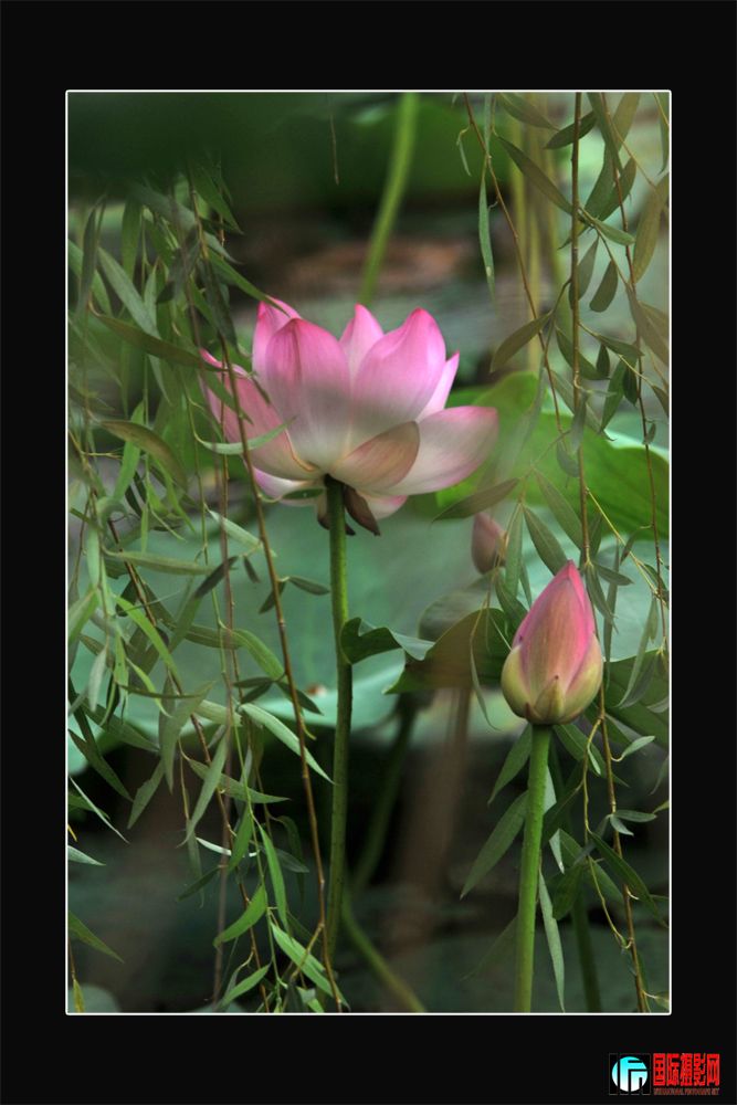 DSC_2163.JPG