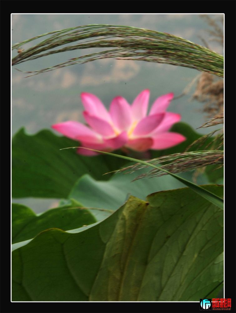 DSC_2252.JPG