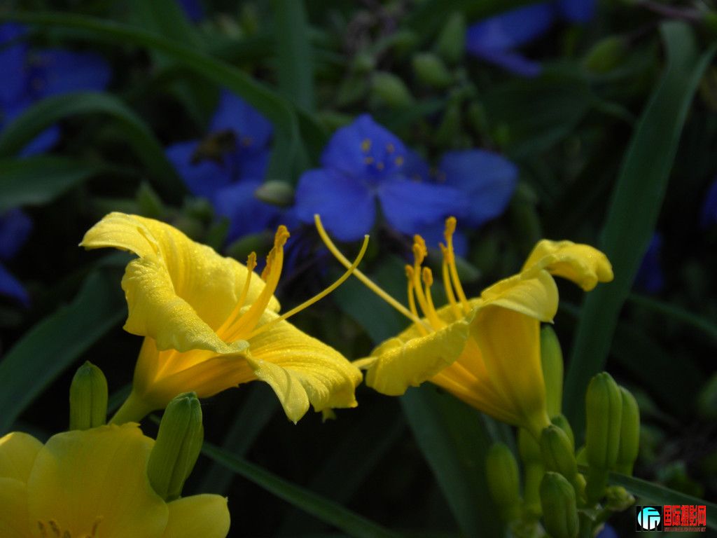 DSCN5630_.jpg