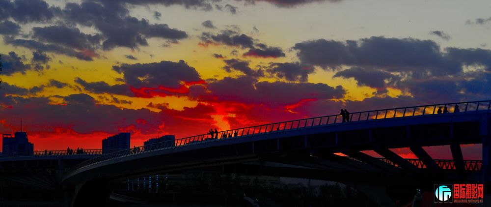 DSC_5654.jpg