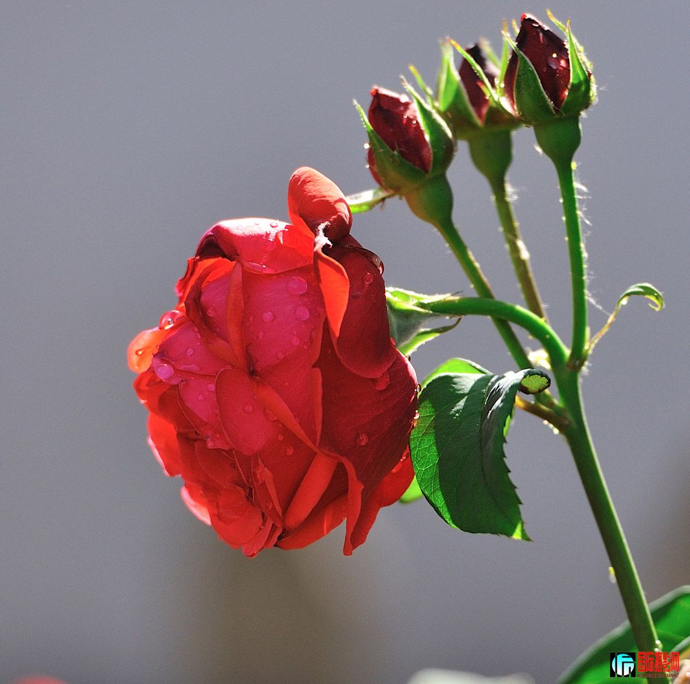 DSC_0054.jpg