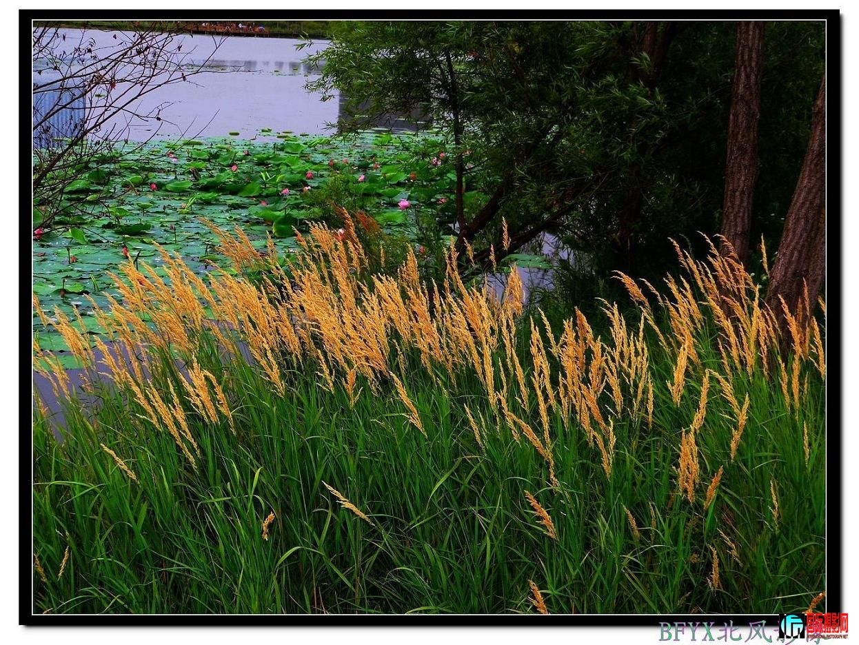 DSC01721_conew1.jpg
