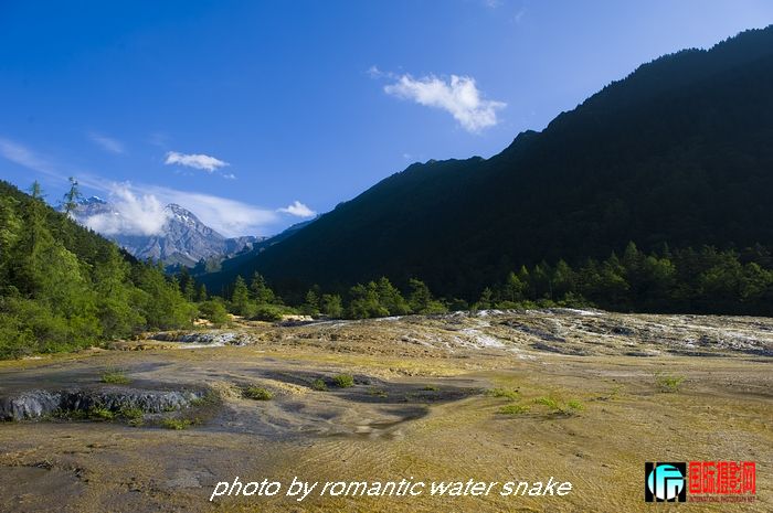 DSC_3200.jpg