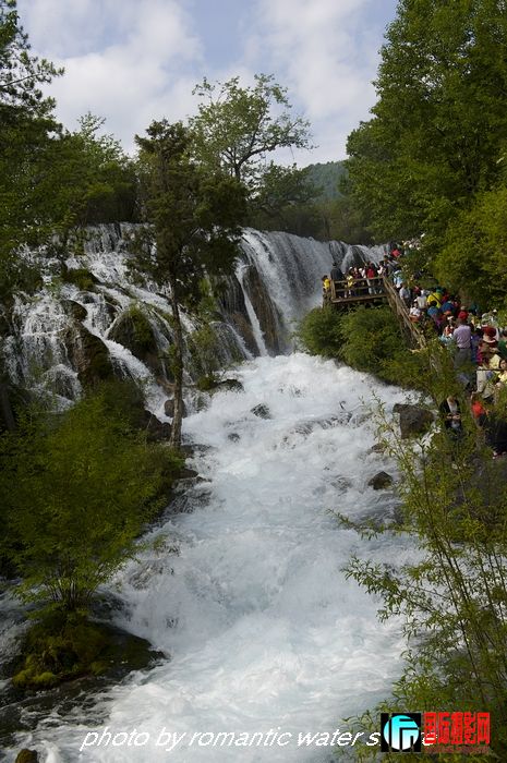DSC_3735.jpg