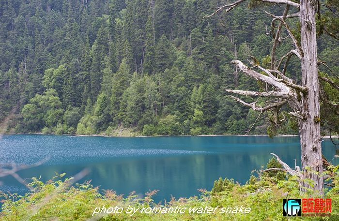 DSC_3764.jpg