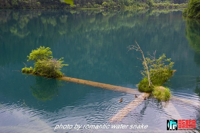DSC_3803.jpg