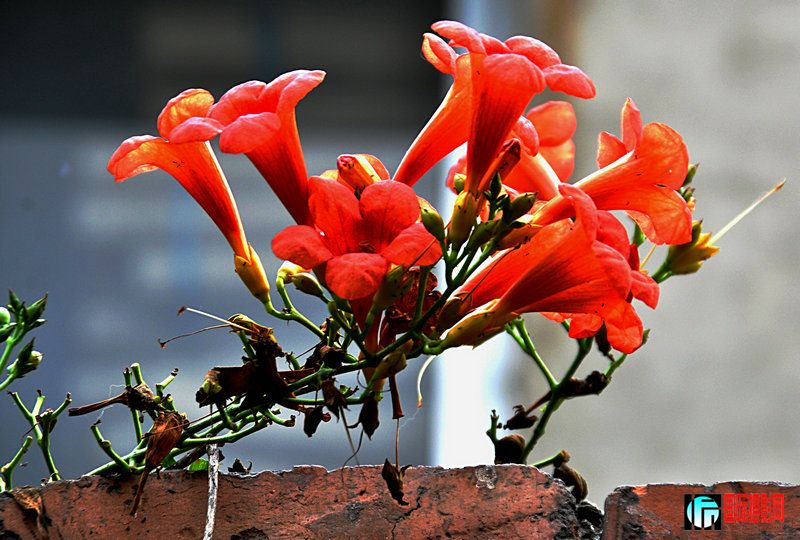 DSC_0042.jpg