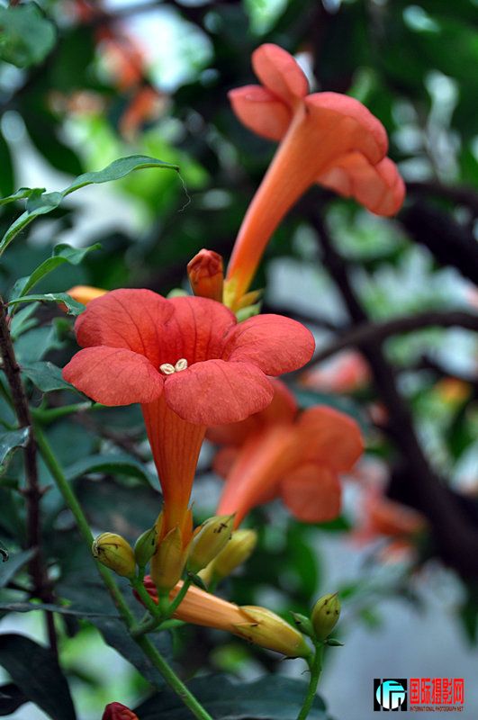 DSC_0038.jpg