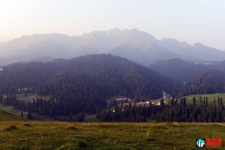 A9A_2061.jpg