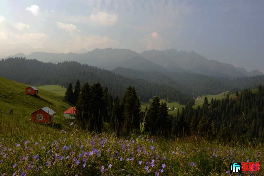A9A_2082.jpg