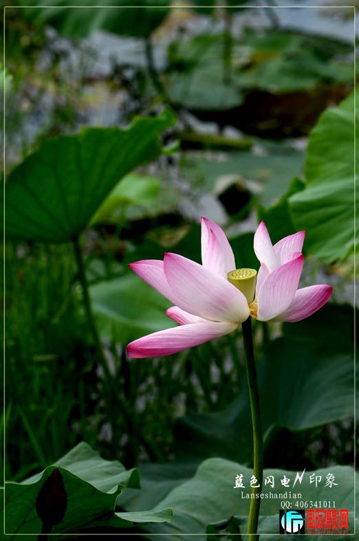 DSC_3360.jpg