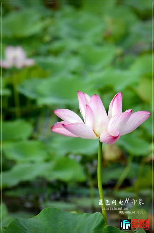 DSC_3417.jpg