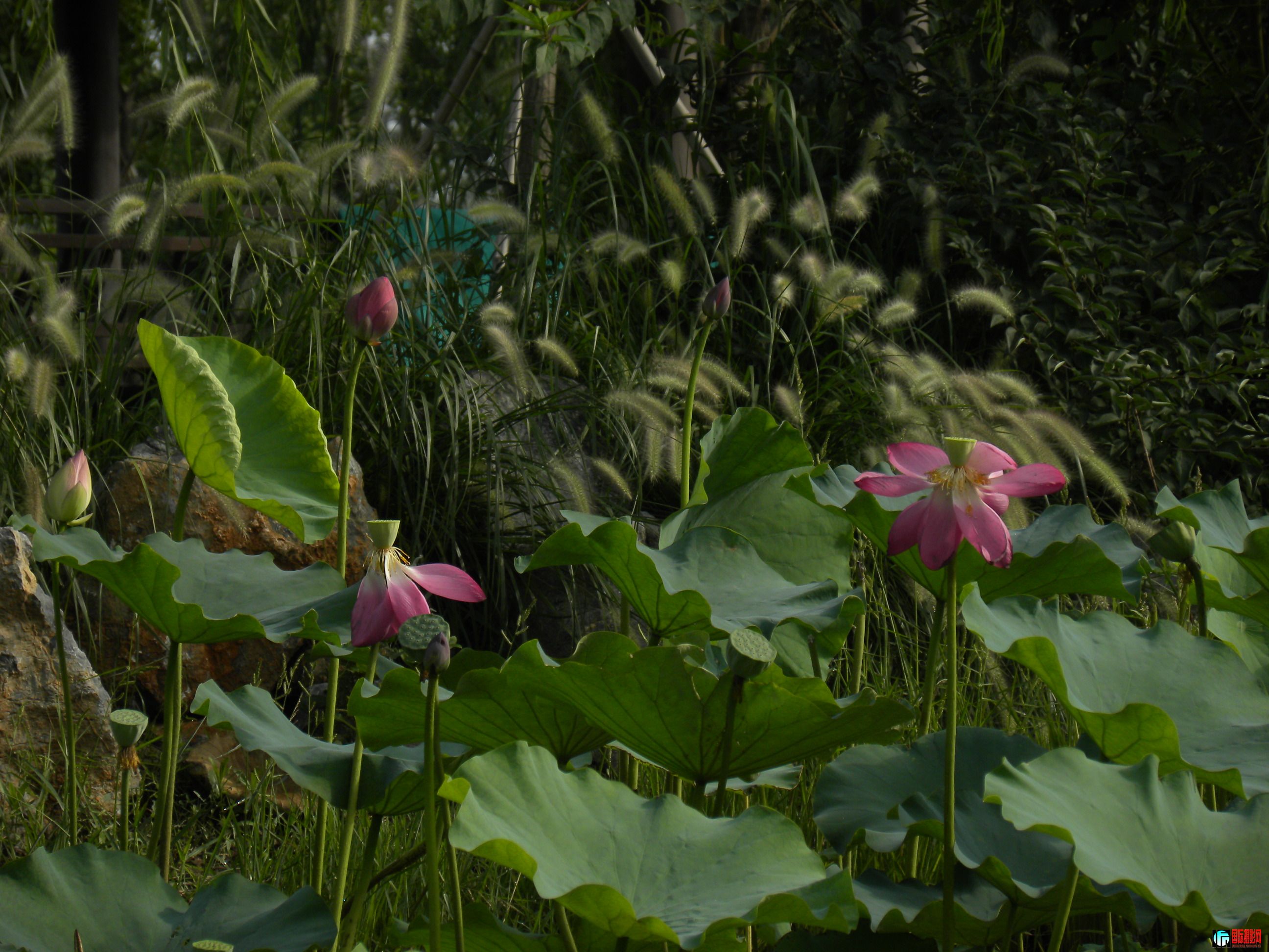 DSCN4915.JPG
