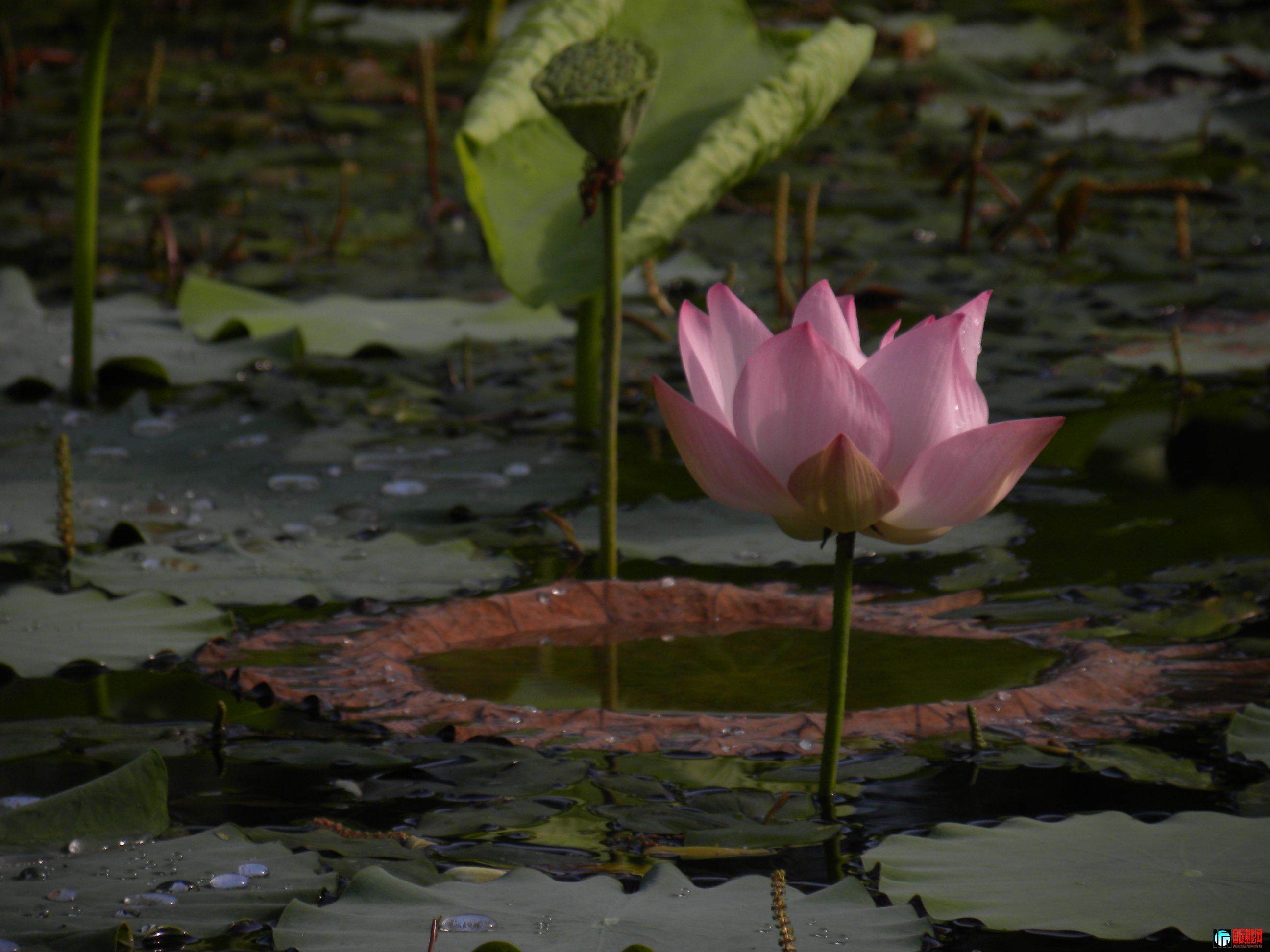 DSCN4928.JPG