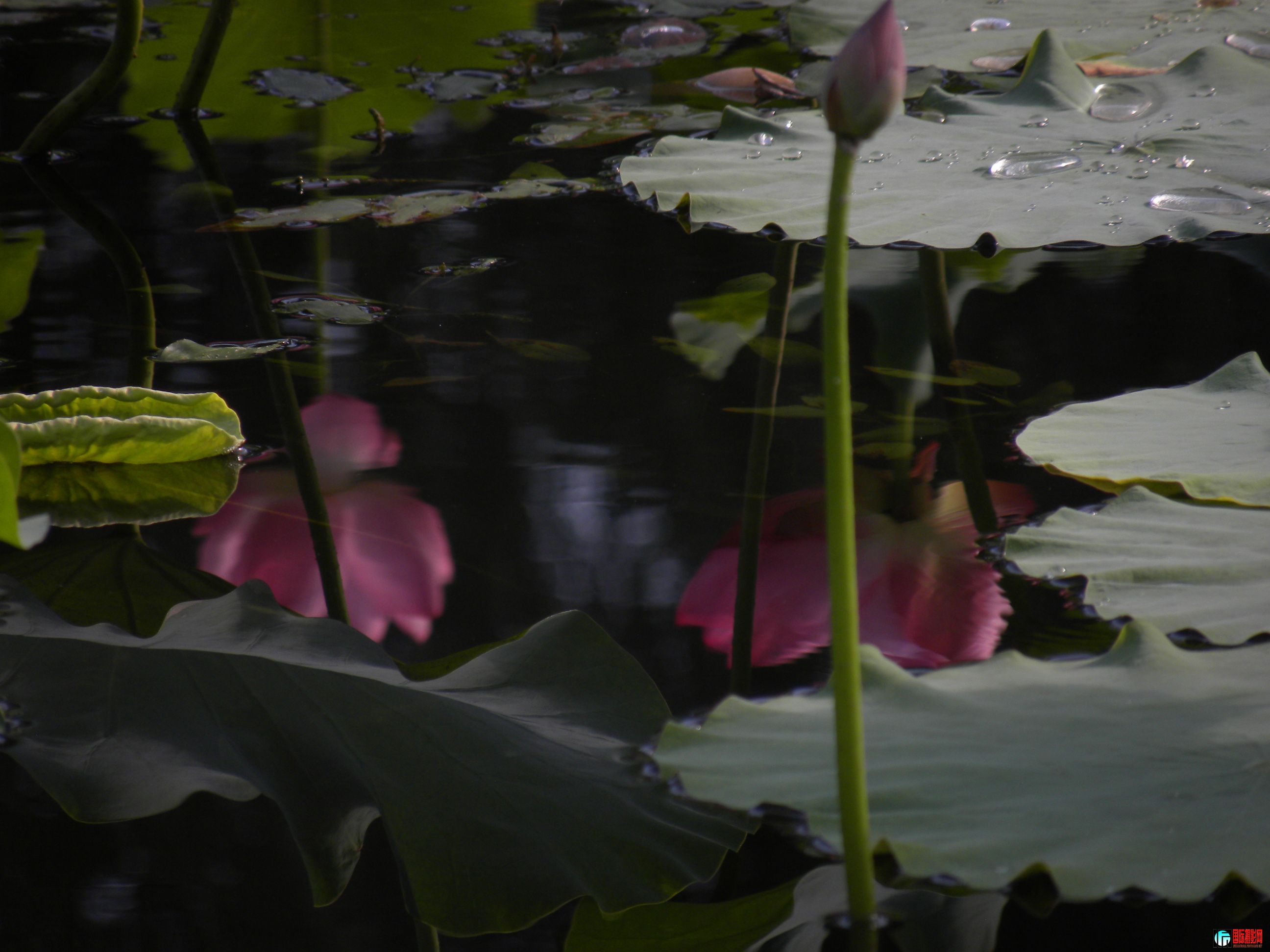 DSCN4926.JPG