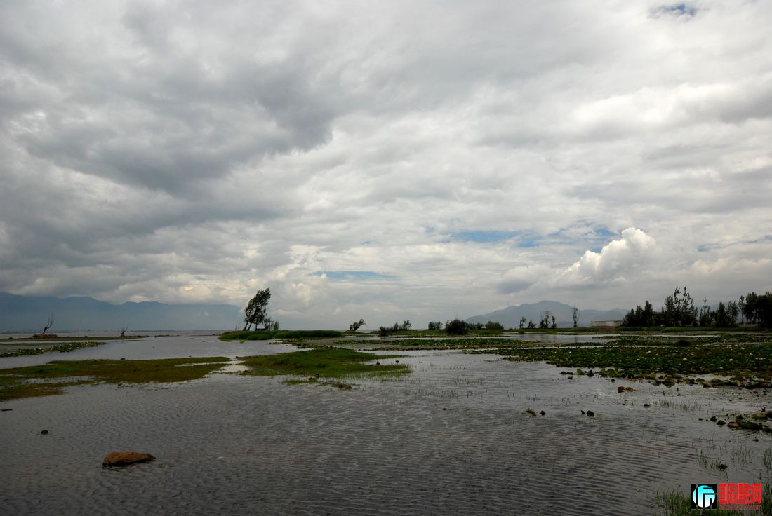 DSC_1286-1.jpg