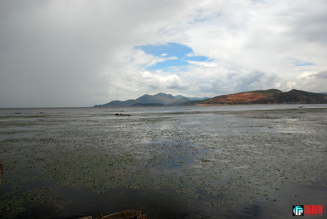 DSC_1318-1.jpg