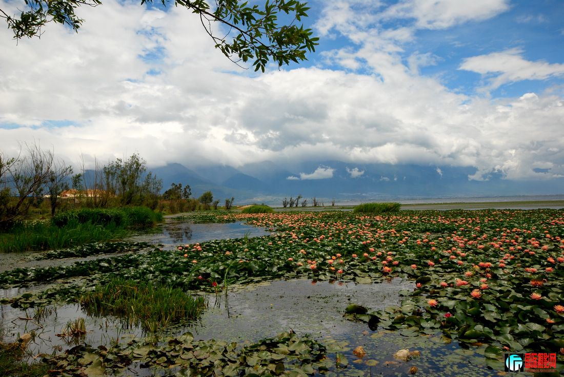 DSC_1326-1.jpg