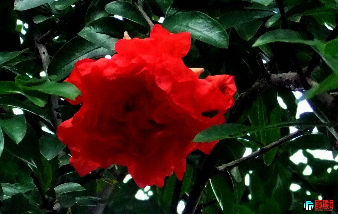 ʯ1.jpg