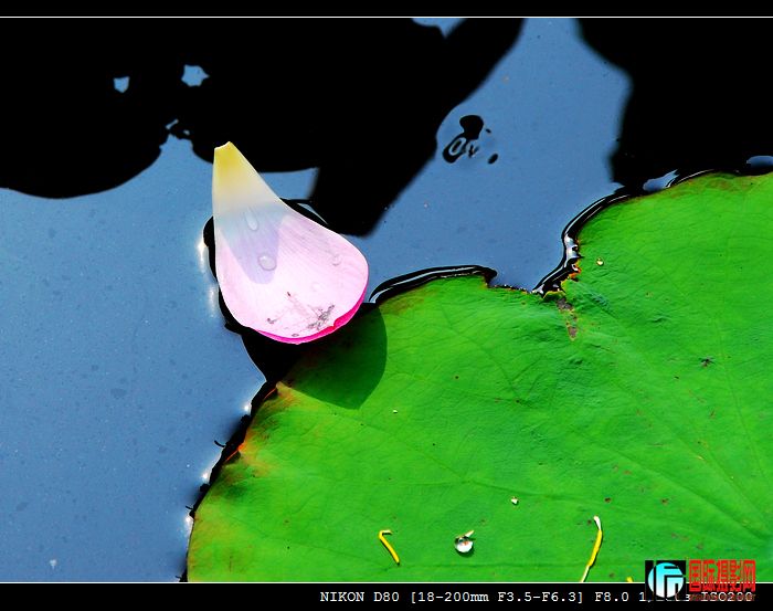 DSC_2384-1.jpg