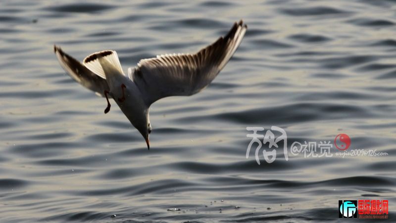IMG_5597.jpg