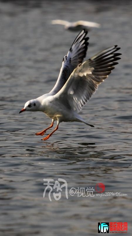 IMG_5501.jpg