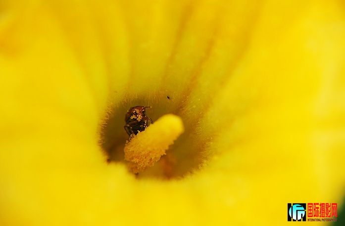 DSC_0058.JPG