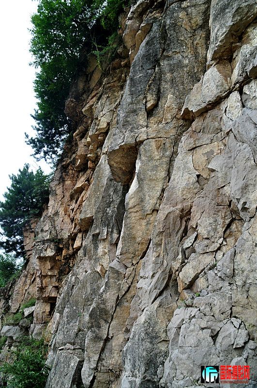 DSC_6879.jpg