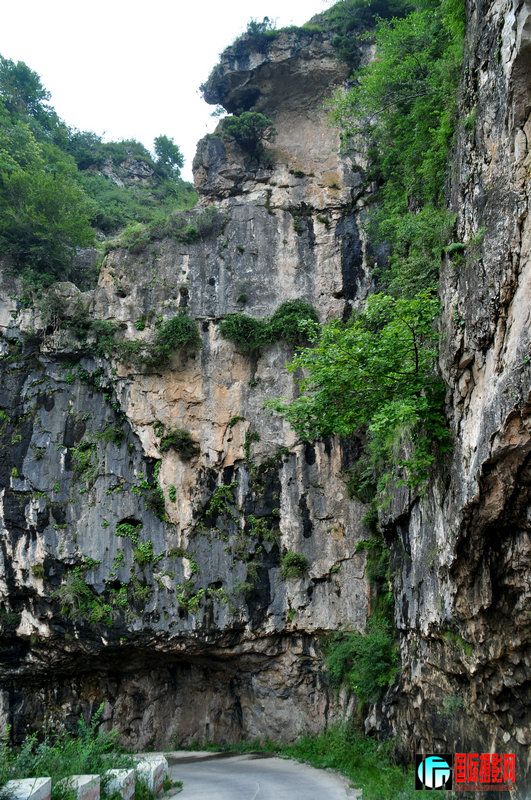 DSC_6862.jpg
