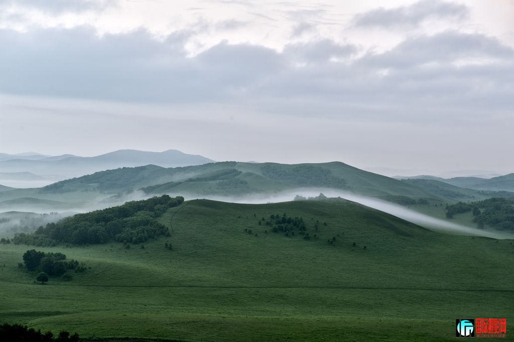 DSC_8928a.jpg
