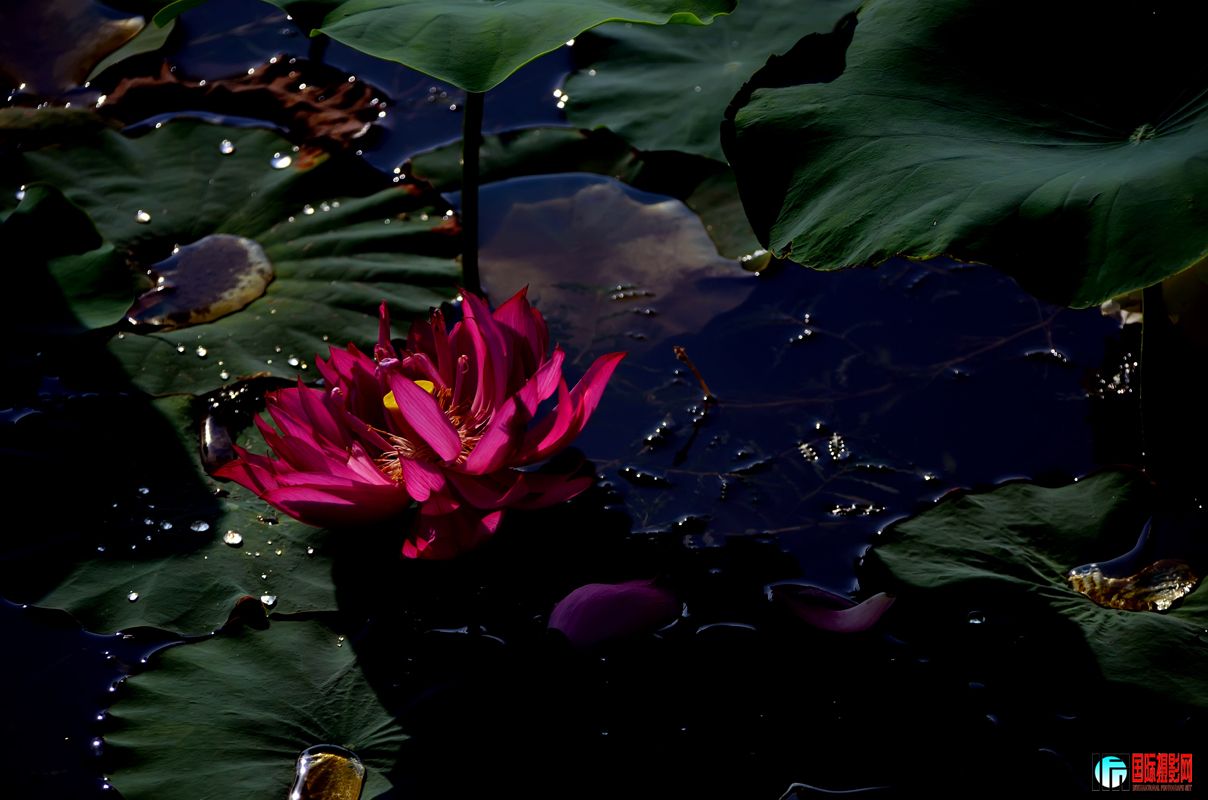 DSC_0056.jpg