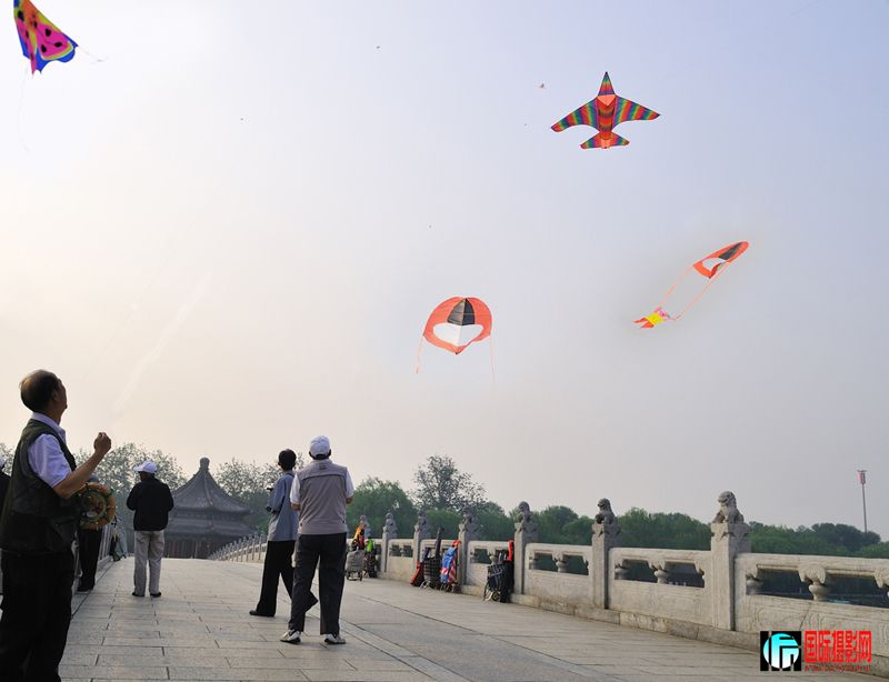 DSC_1955.jpg