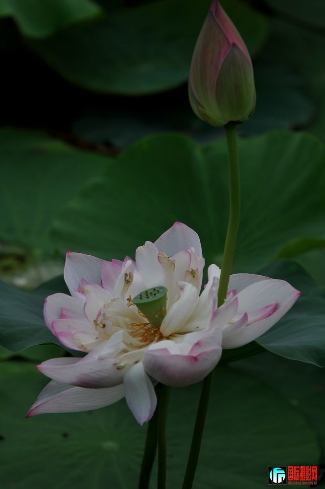 DSC_02.jpg