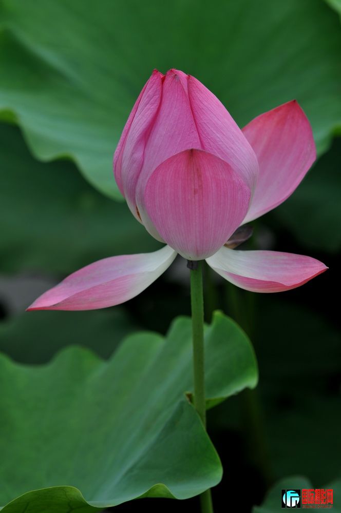 DSC_04.jpg