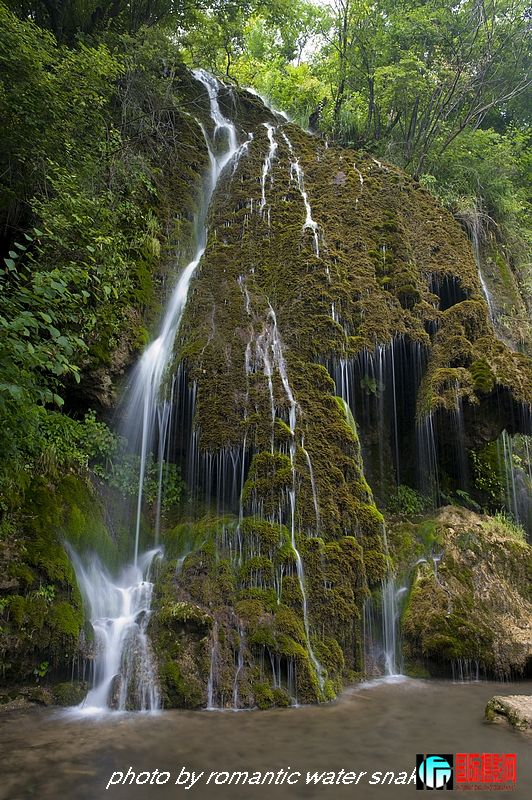 DSC_4551.jpg