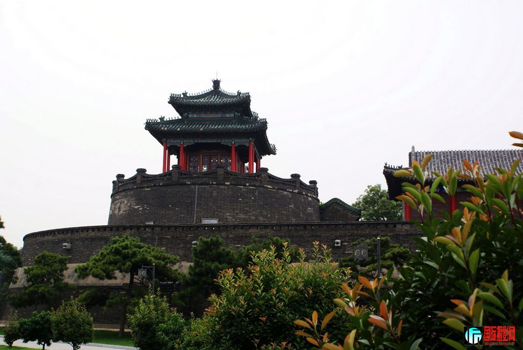 nEO_IMG_DSC07445.jpg