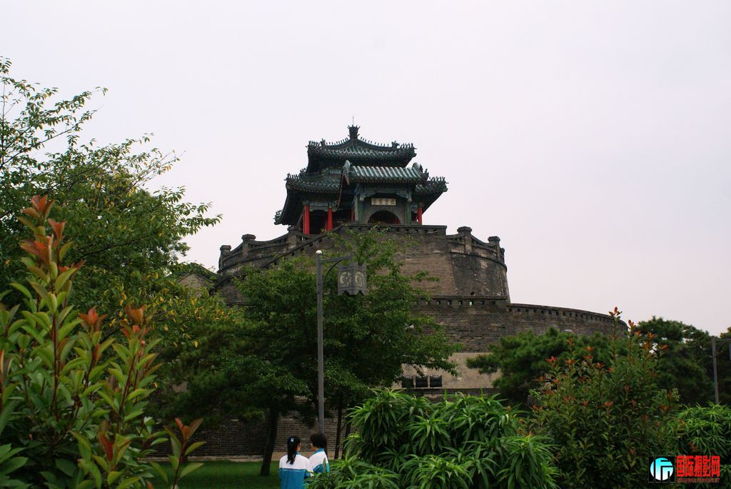 nEO_IMG_DSC07454.jpg