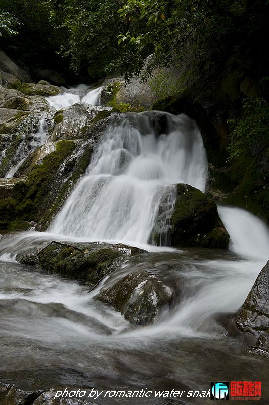 DSC_4599.jpg