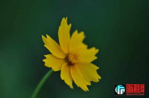 DSC_0438_1.jpg