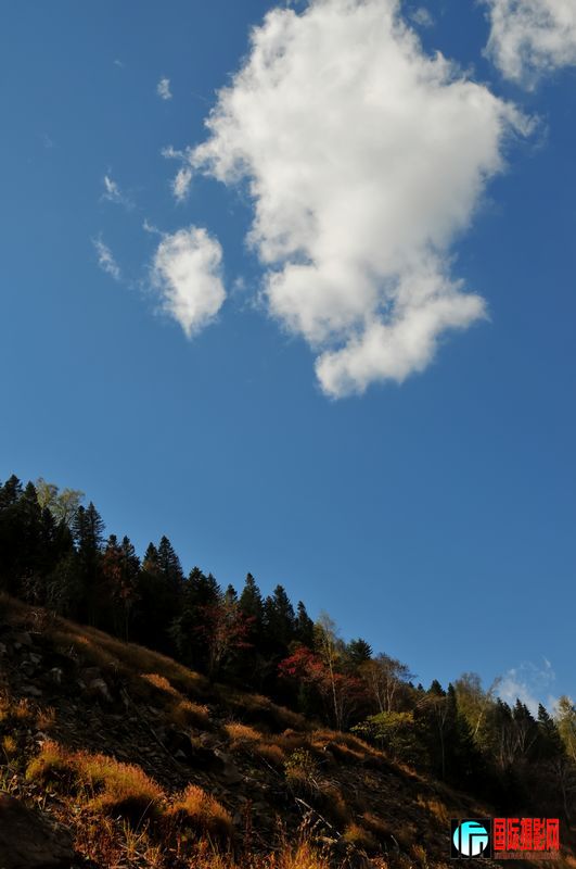 DSC_5985.jpg