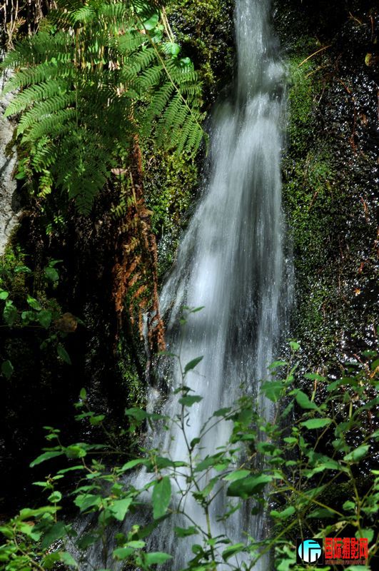 DSC_5176.jpg