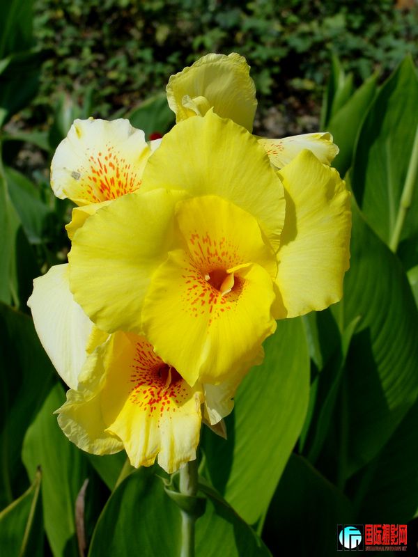 DSC07721.jpg