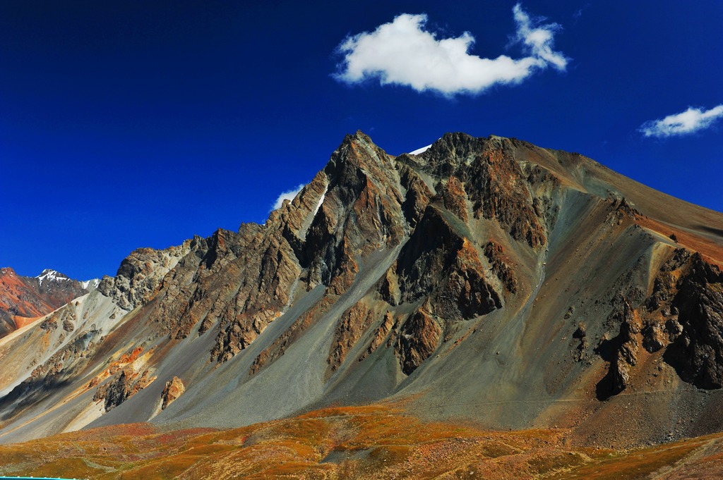 DSC_4977.JPG