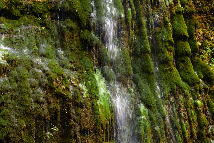 DSC_5275.jpg