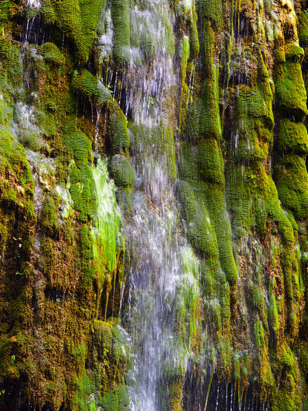 DSC_5278.jpg